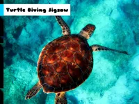 https://icpi.online//game/turtle-diving-jigsaw