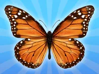https://icpi.online//game/mergebuterfly-2048