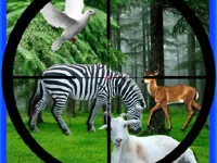 https://icpi.online//game/real-jungle-animals-hunting