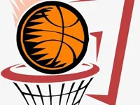 https://icpi.online//game/basketball-game-two