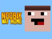 https://icpi.online//game/noob-way-home