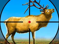 https://icpi.online//game/wild-deer-hunting-3d