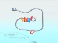 https://icpi.online//game/ring-it-off