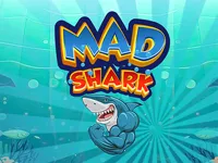 https://icpi.online//game/mad-shark-fish