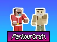 https://icpi.online//game/parkour-craft-noob-steve