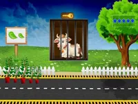 https://icpi.online//game/cow-escape