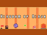 https://icpi.online//game/kingdom-of-ninja