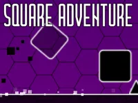 https://icpi.online//game/square-adventure