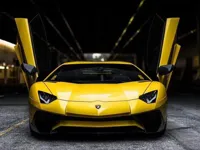 https://icpi.online//game/lamborghiniparking3