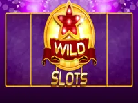 https://icpi.online//game/wild-slot