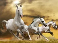 https://icpi.online//game/running-horse-slide