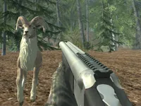 https://icpi.online//game/crazy-goat-hunter