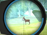 https://icpi.online//game/hunter