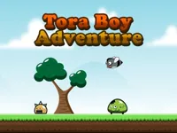 https://icpi.online//game/tora-boy-adventure