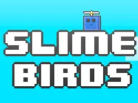 https://icpi.online//game/slime-birds