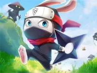 https://icpi.online//game/ninja-rabbit