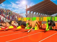 https://icpi.online//game/dog-run-3d