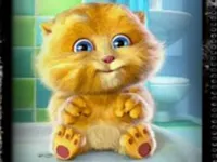 https://icpi.online//game/talking-baby-ginger