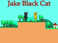 https://icpi.online//game/jake-black-cat
