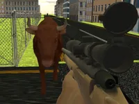https://icpi.online//game/angry-bull-shooter