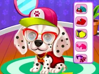 https://icpi.online//game/my-puppy-daycare-salon