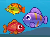https://icpi.online//game/big-fish-eat-small-fish-2