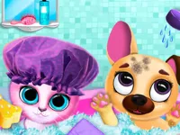 https://icpi.online//game/cute-pet-friends