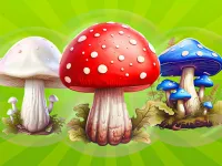 https://icpi.online//game/mergemushrooms-2048