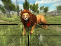 https://icpi.online//game/lion-hunting-3d